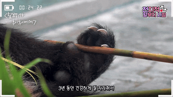 vNropn.gif