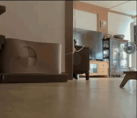 vNzENk.gif