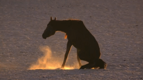 vQkZoV.gif