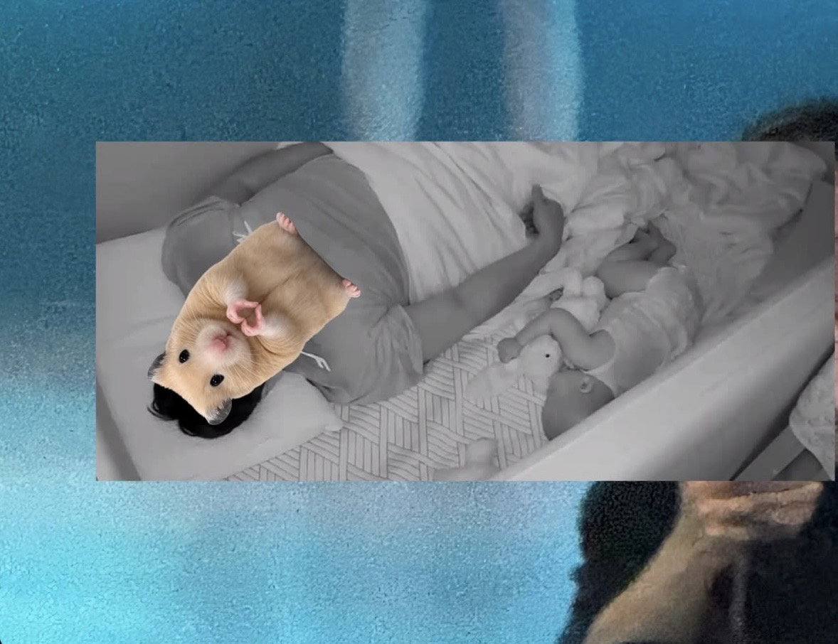 vSOgDv