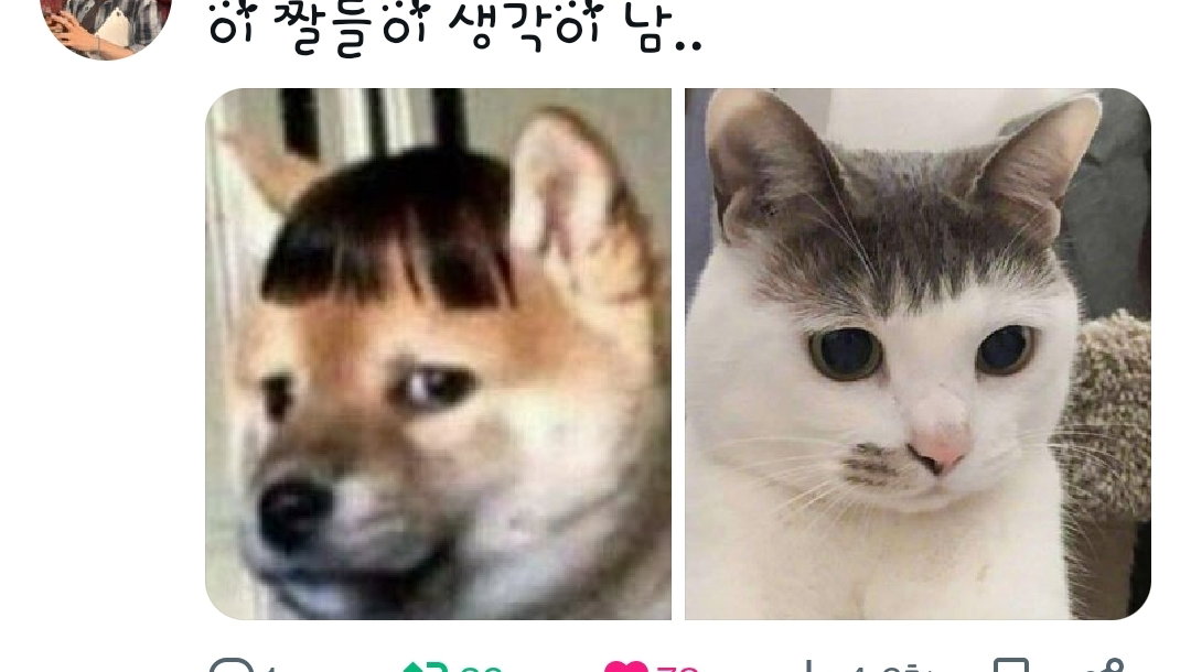 vSRGCM