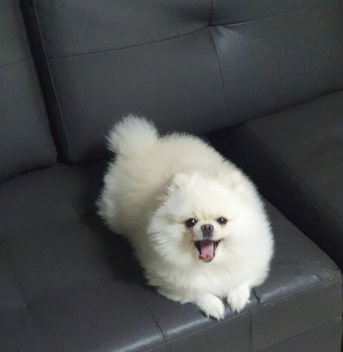 vYMlGD