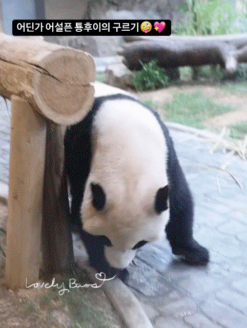 vZAqpi.gif