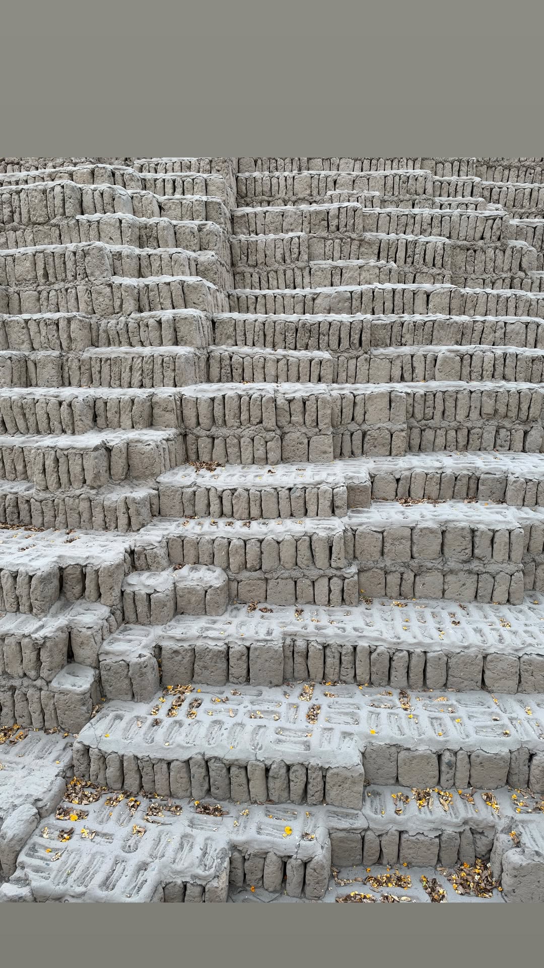 vfOGwf
