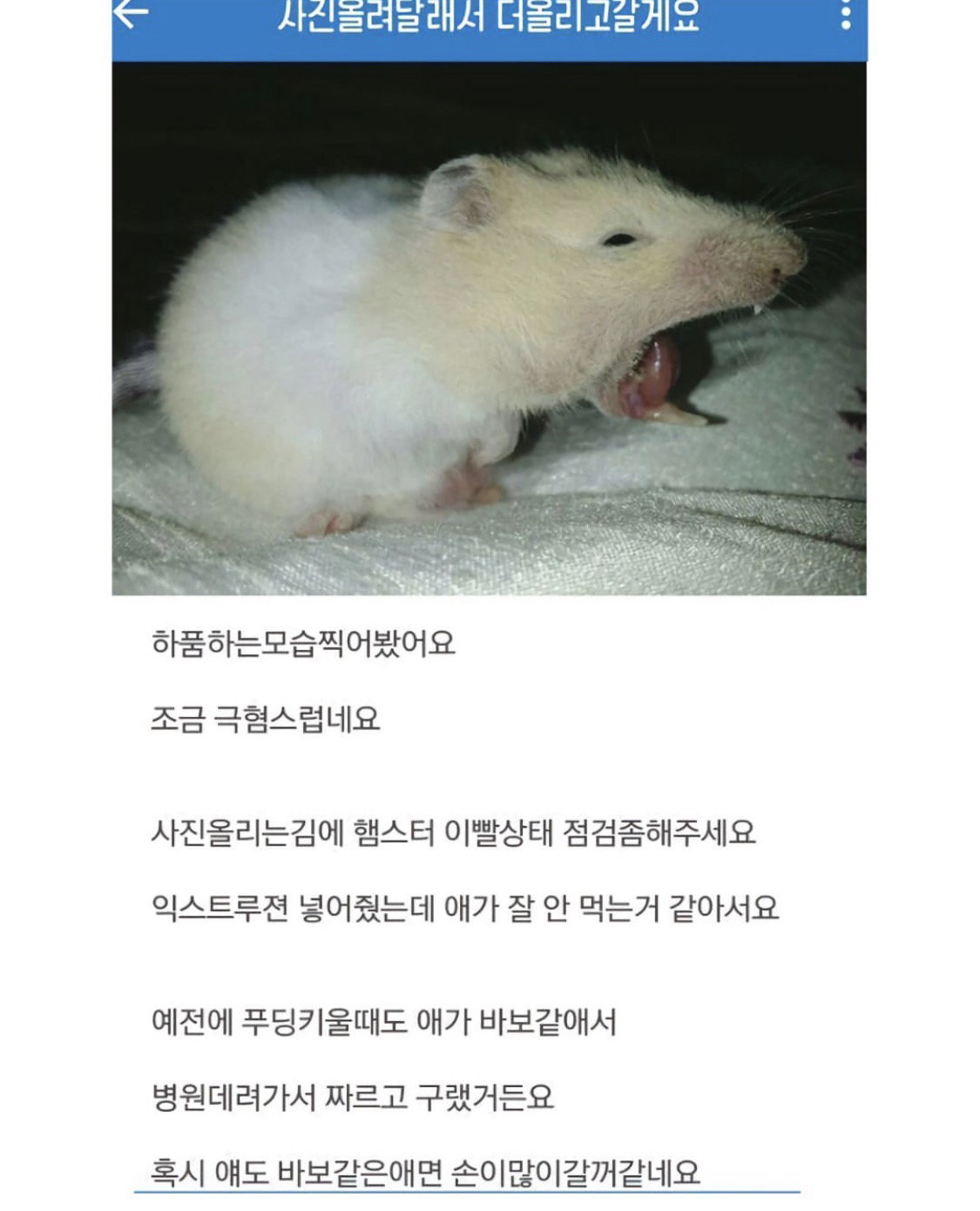 vgGckV