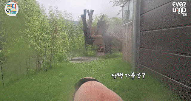 viaVAK.gif