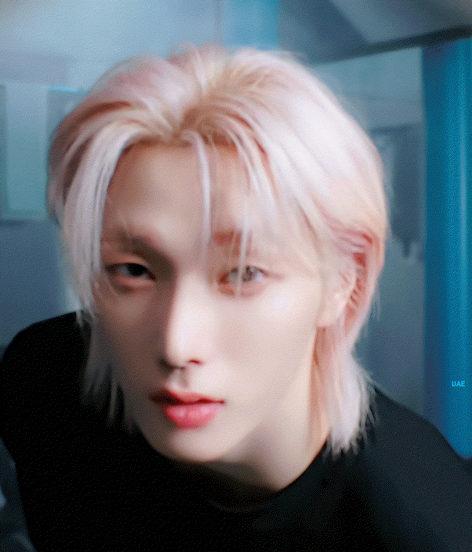 vitREb.gif