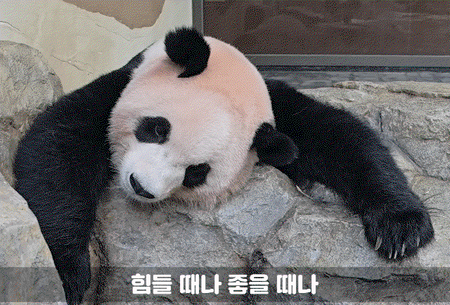 vjbdNT.gif