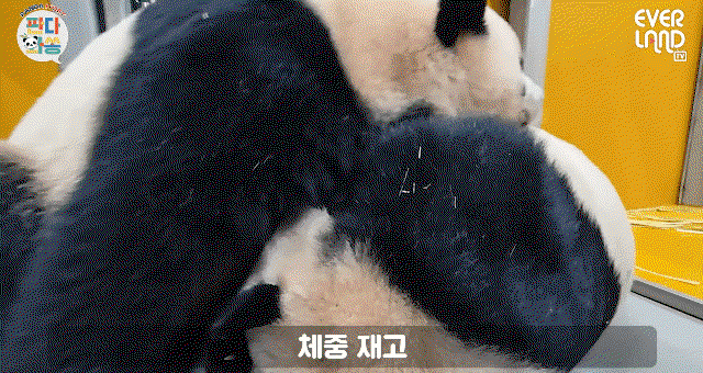 vjeLOP.gif