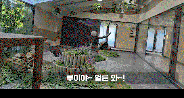 vjuNVt.gif