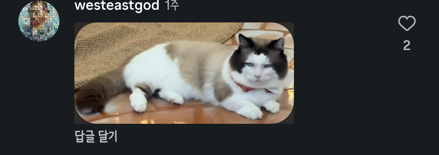 vkBVTW
