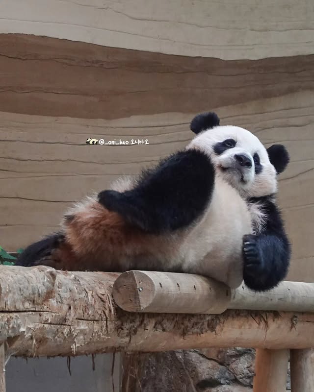 vlXEhc