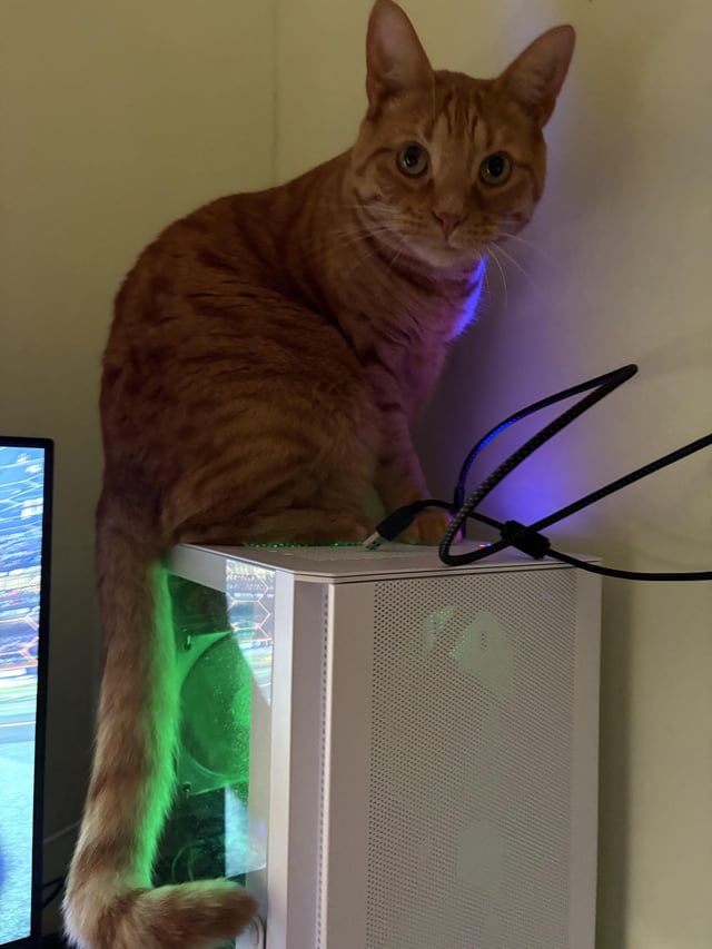 vlsrMJ