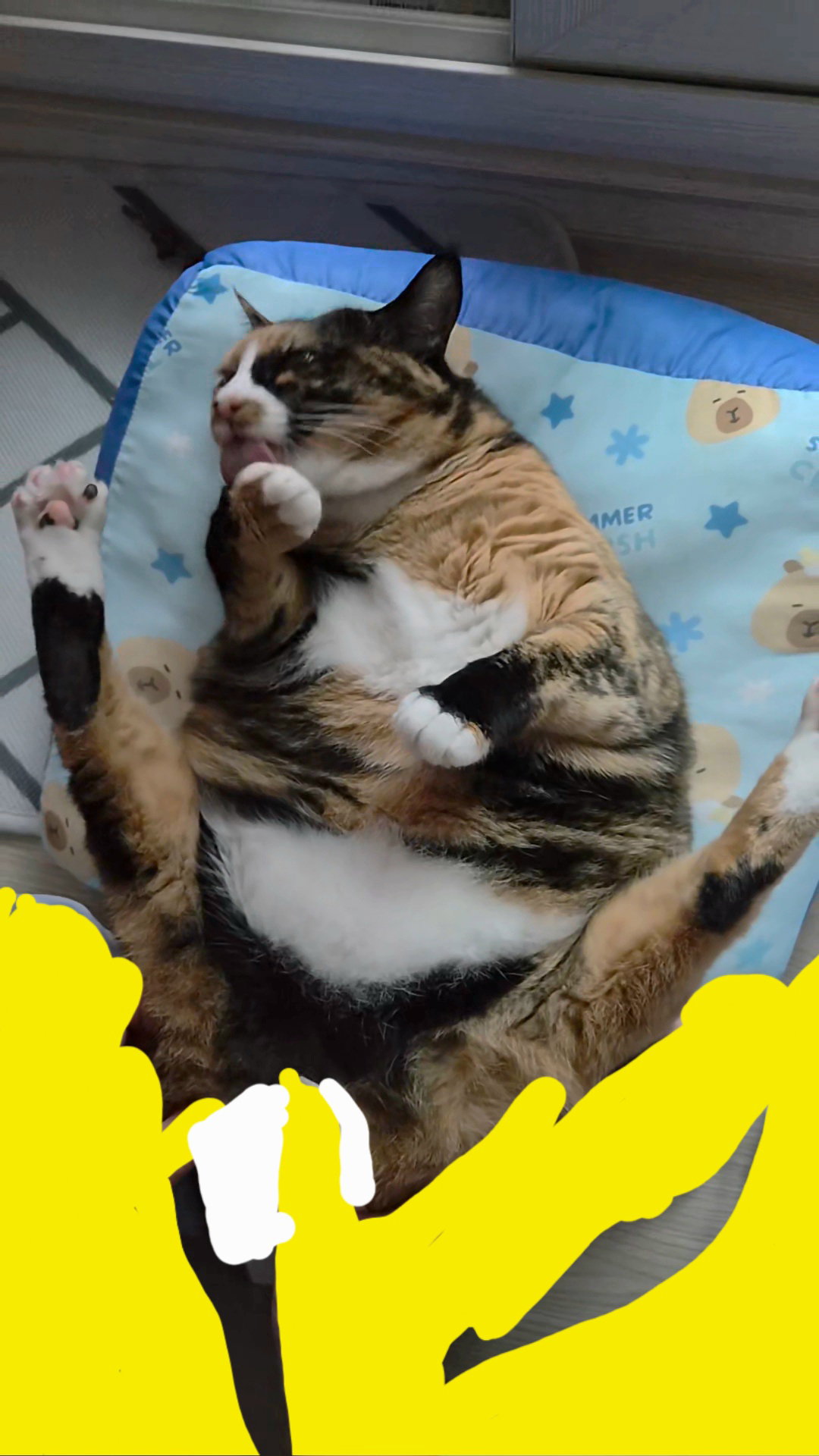 vpFisY