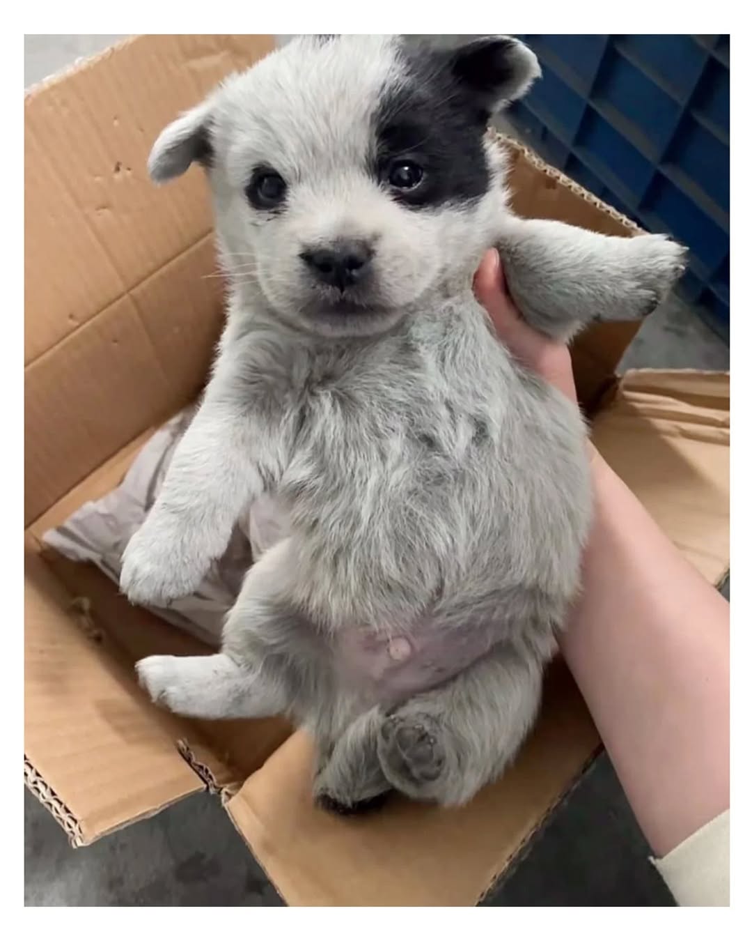 vpWinu