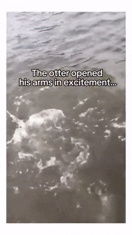 vqKhCT.gif