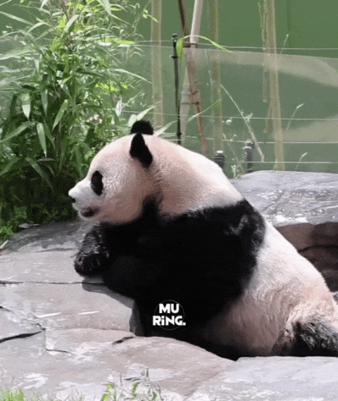 vrdPCC.gif