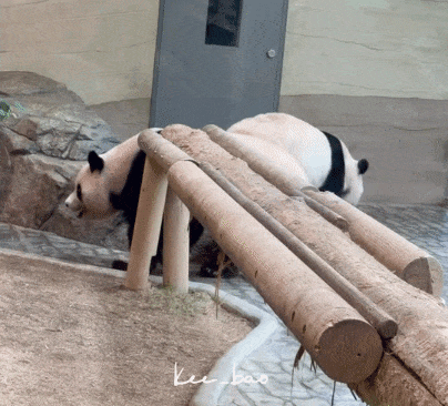 vrjblF.gif