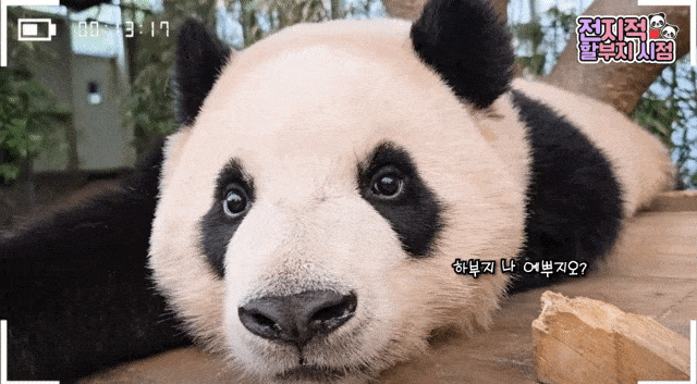 vutUCi.gif