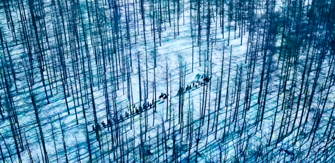 vvOVdS.gif