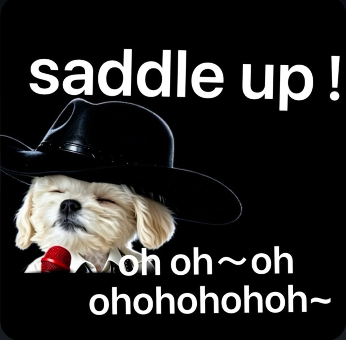 vwfjmj