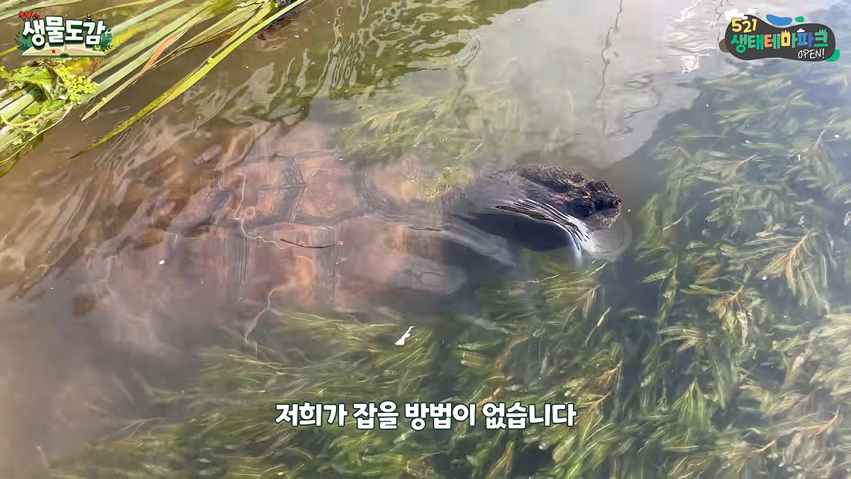 vyeIzh