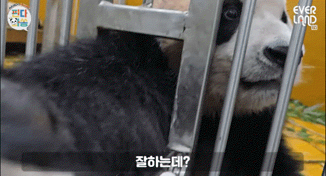 vzFuhO.gif