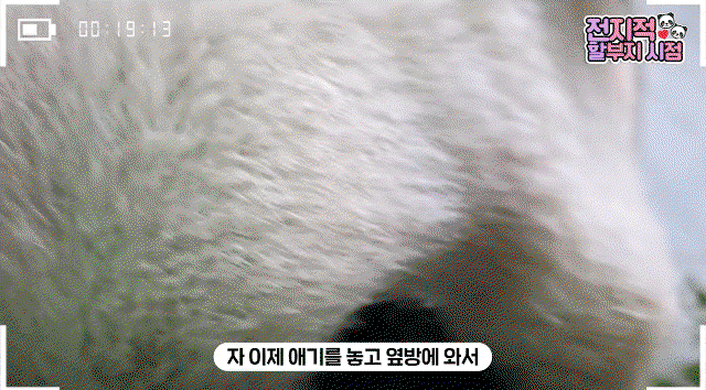vzoevX.gif