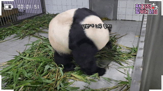 wBeRwN.gif