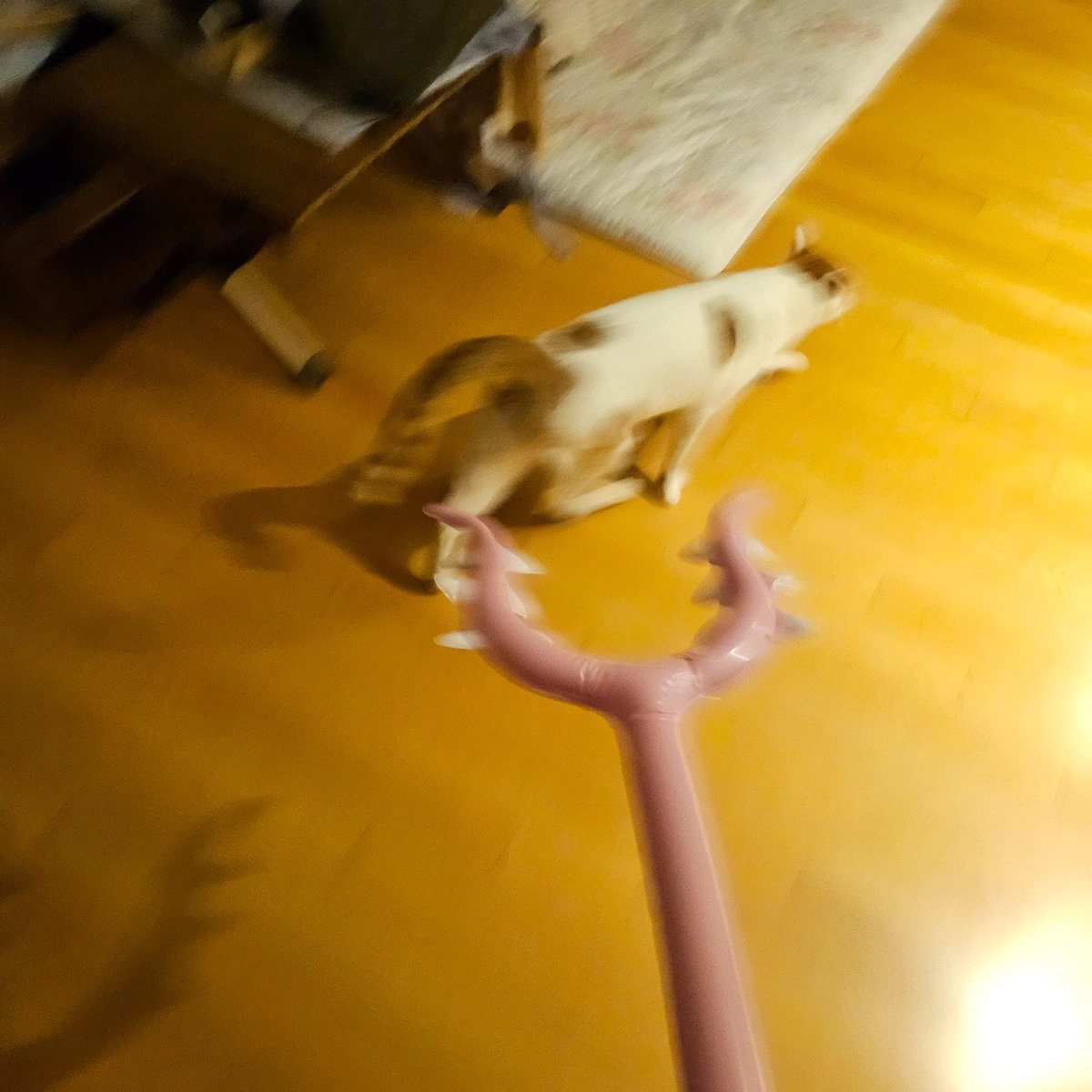 wCJcLN