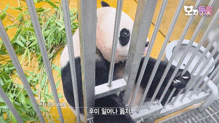 wGyUSG.gif