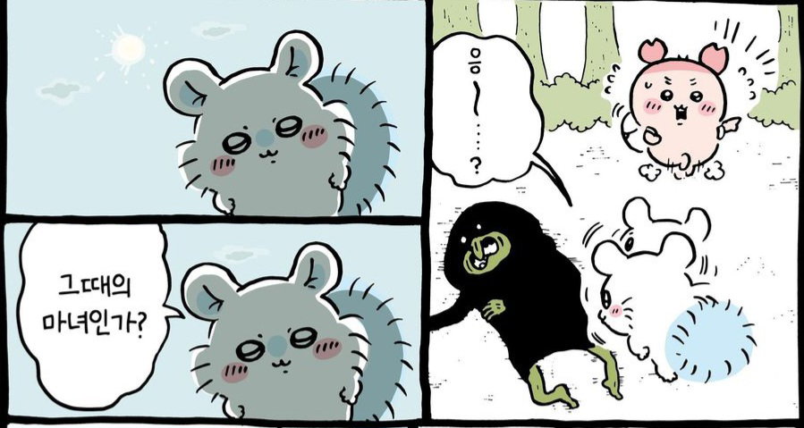 wHyoWt