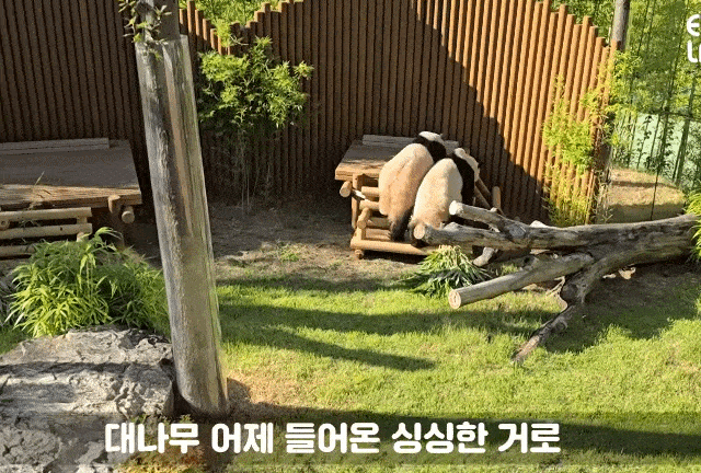 wHzKuQ.gif