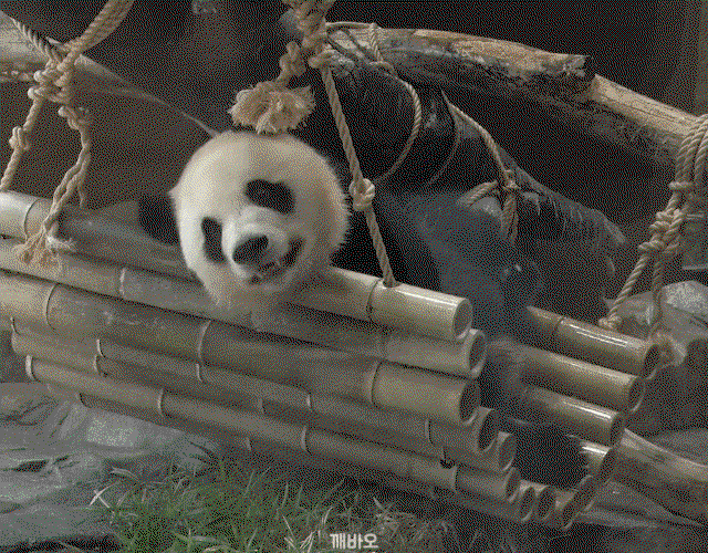 wIdIUr.gif