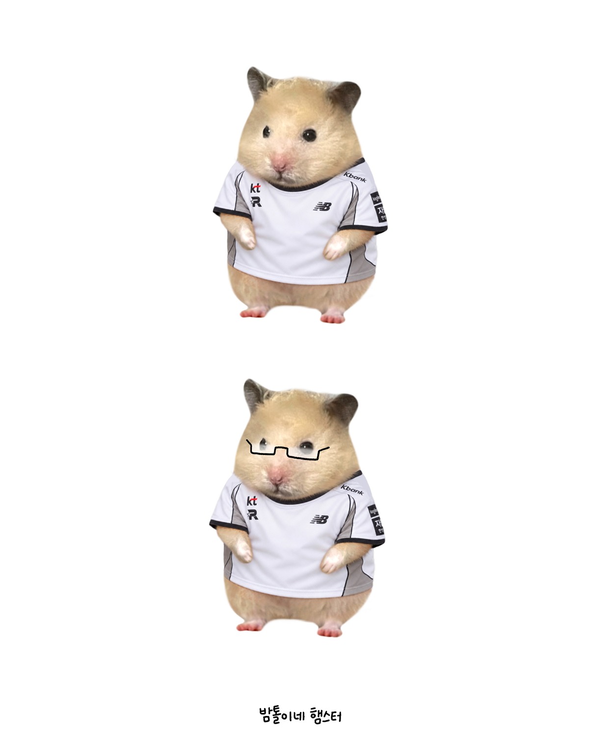 wLkttm