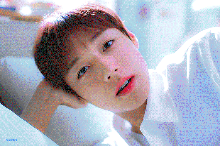 wNErMw.gif