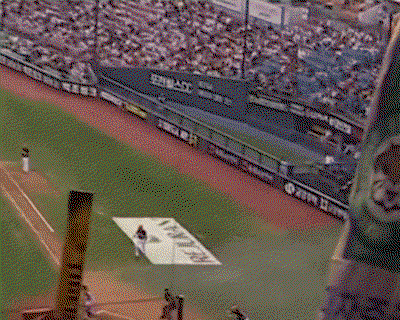 wQoAZf.gif