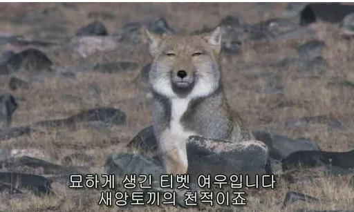 wSWuNF