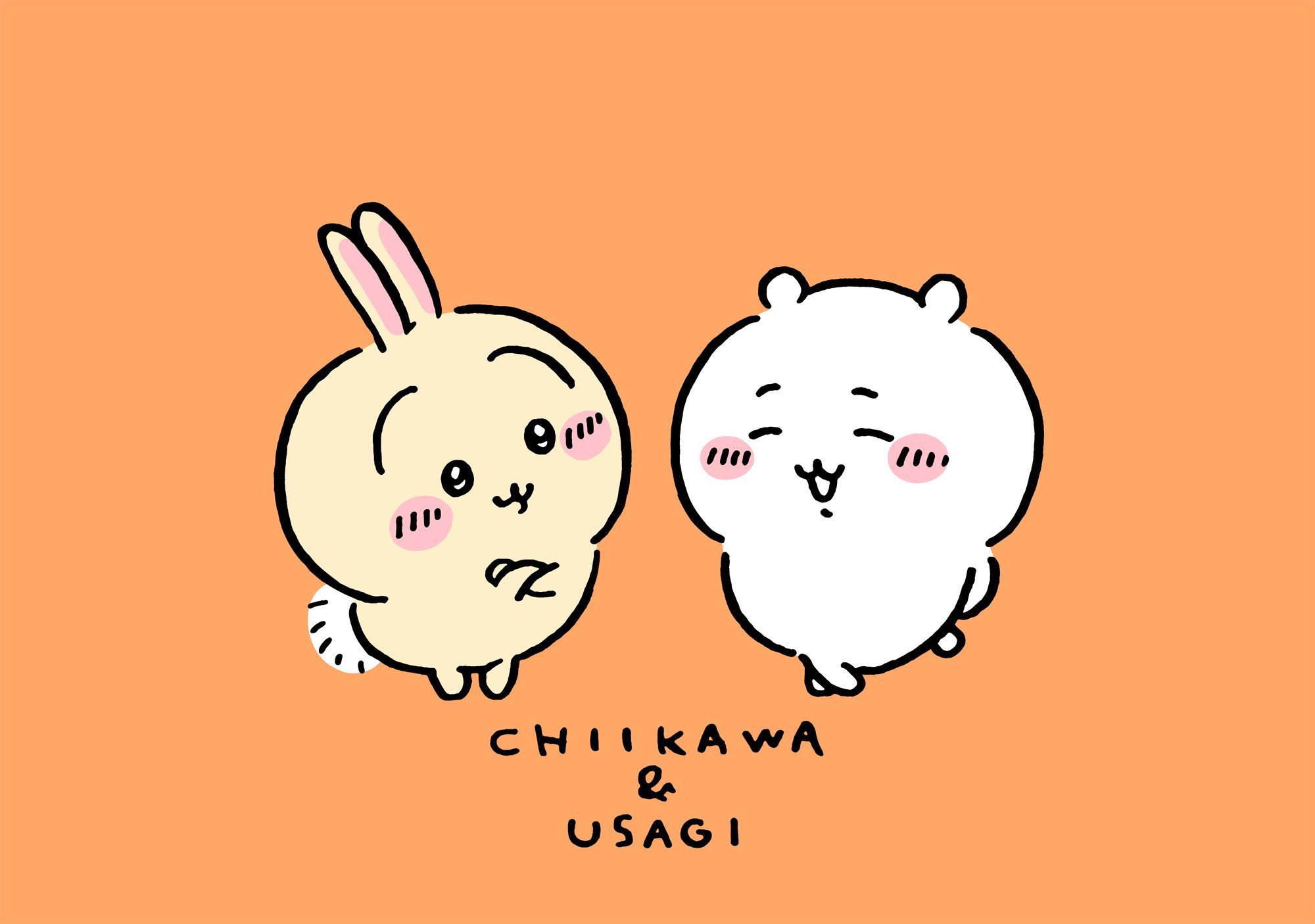 wSaDCy