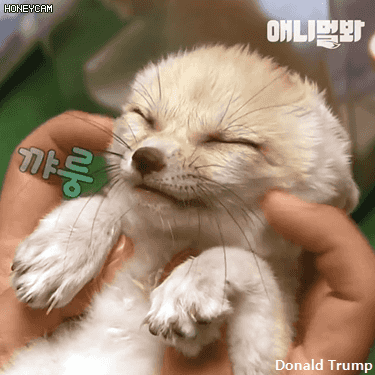 wTXEge.gif