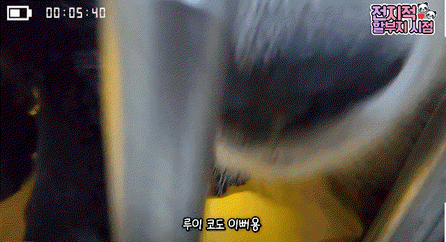 wUpDnK.gif