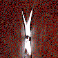 wYuVRQ.gif