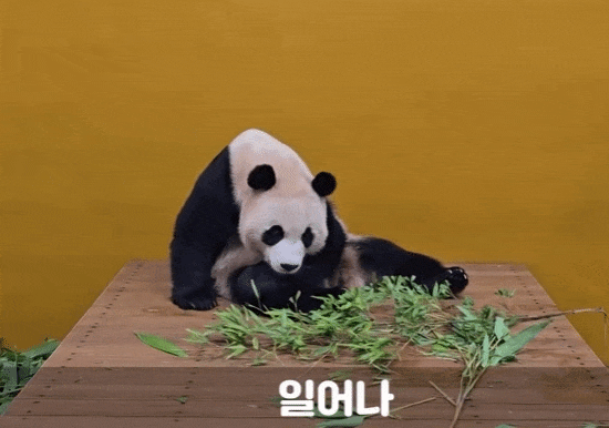 wZQdsO.gif