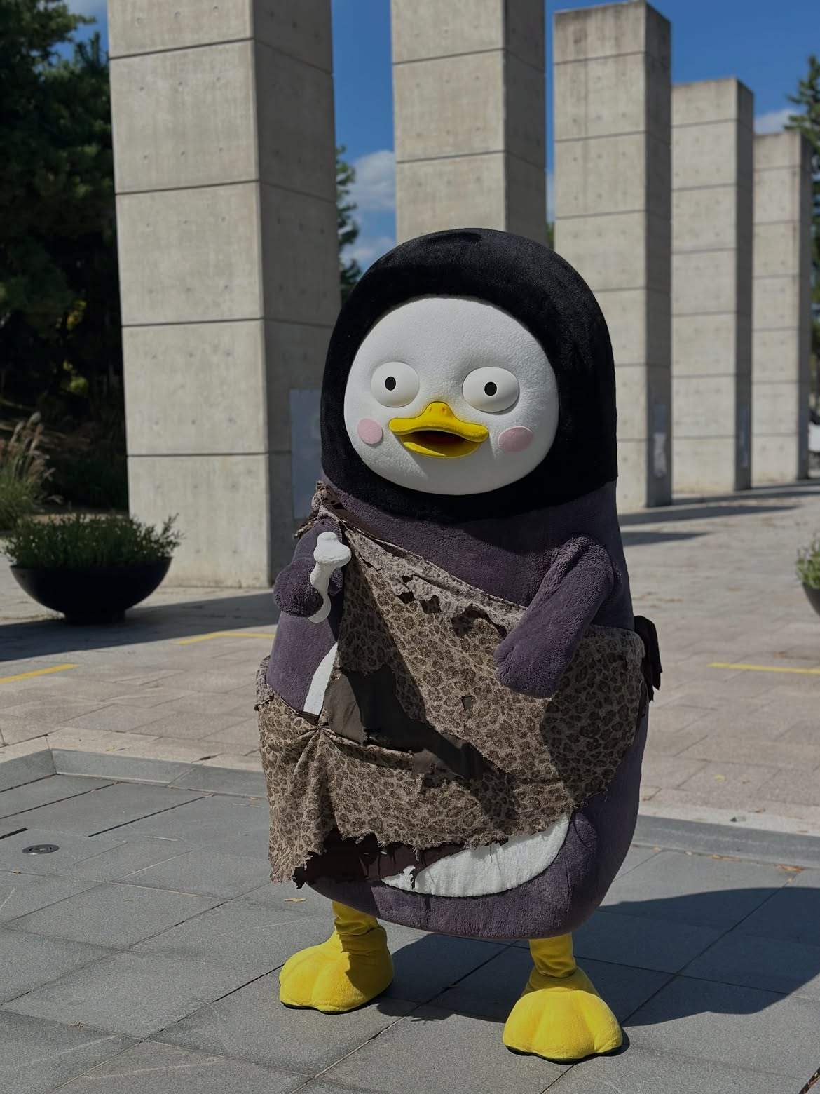 wauXSN