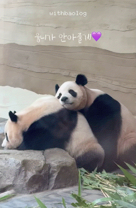 wbiPGw.gif