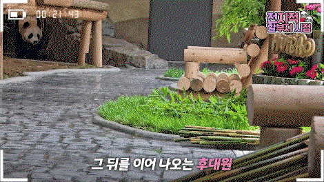 wdIeVi.gif