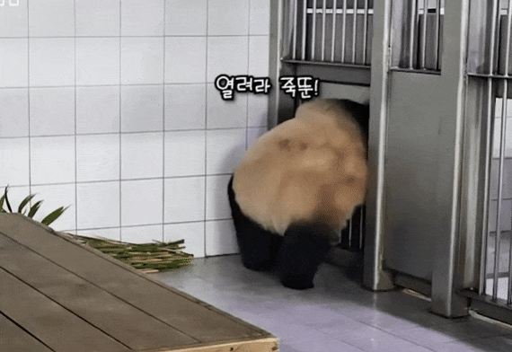 weEImt.gif