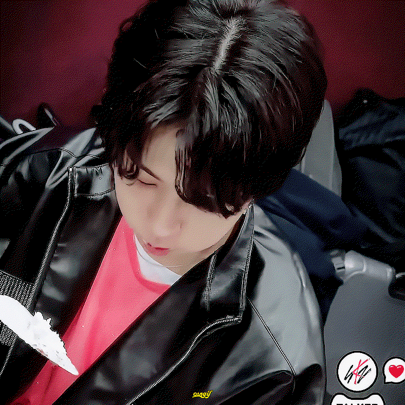 wjfCqN.gif