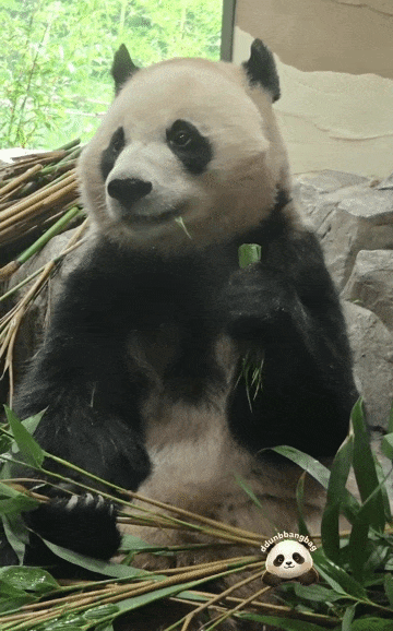 wkKvMq.gif