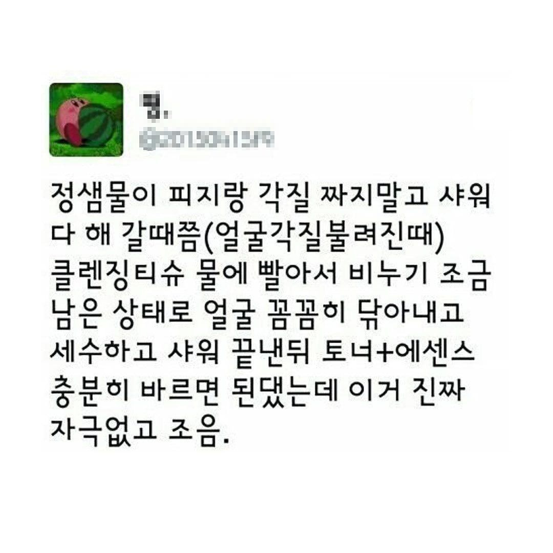 wltvi.jpg